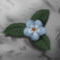 flower-on-rock by kanellos