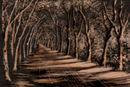 alley3