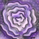 rose-of-my-soul