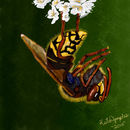 bzzzzzzzzzzzzz bzzzzzzzzzzzzz
