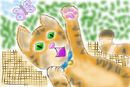 playful-kitten
