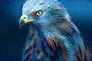 bird-of-prey
