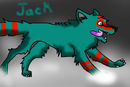 jack-the-wolfdog jack-the-wolfdog