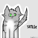 skyler