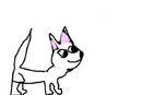 a-baby-wolf-that-is-wh