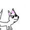 a-baby-wolf-that-is-wh by brandywolflover