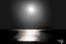 moon-light