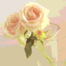 rose-of-fun