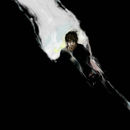 in-the-dark in-the-dark