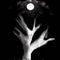 the-tree by marmycat