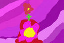 flower-in-red