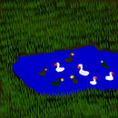 swans-and-ducks