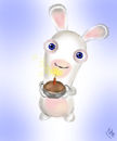rabbit