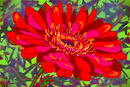 flower flower