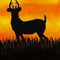 deer by ItsAmberRoonie