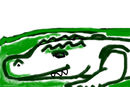 alligator