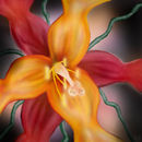 fairy-flower